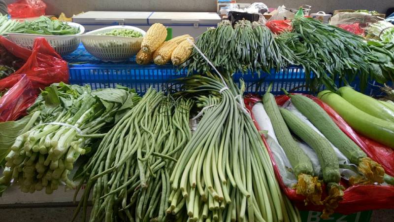 16156046112022.jpg 800菜微信圖片_20210313105901.jpg